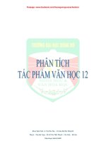 phân tích tác phẩm văn học 