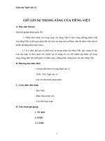 Giáo án Ngữ văn 12 tuần 2: Giữ gìn trong sáng của Tiếng Việt