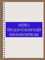 CHƯƠNG I, II: TỔNG QUAN VỀ DOANH NGHIỆP KINH DOANH THƯƠNG MẠI