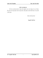 Giải pháp nhằm tăng cường quản trị sử dụng vốn kinh doanh tại công ty cổ phần bạch đằng 