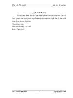 Hoàn thiện việc vận dụng kỹ thuật thu thập bằng chứng kiểm toán trong kiểm toán báo cáo tài chính tại công ty TNHH hãng kiểm toán AASC 