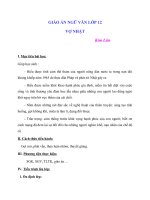 Giáo án Ngữ văn 12 tuần 21 bài: Vợ Nhặt  Kim Lân