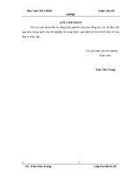 Tổ chức công tác kế toán bán hàng và xác định kết quả kinh doanh tại nhà máy BIBICA  chi nhánh công ty cổ phần BIBICA 