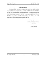 Phát triển cho vay tiêu dùng tại ngân hàng thương mại cổ phần việt nam thinh vượng  chi nhánh vĩnh phúc  