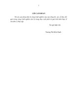 Hoàn thiện qui trình kiểm toán vốn bằng tiền trong kiểm toán báo cáo tài chính do  công ty TNHH kiểm toán và tư vấn đất việt thực hiện 