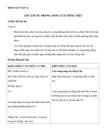 Giáo án Ngữ văn 12 tuần 2: Giữ gìn trong sáng của Tiếng Việt