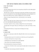 Giáo án Ngữ văn 12 tuần 2: Giữ gìn trong sáng của Tiếng Việt