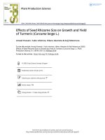 Effects of Seed Rhizome Size on Growth and Yield of Turmeric Curcuma longa L