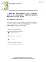 Growth Yield and Quality of Turmeric Curcuma longa L Cultivated on Dark red Soil Gray Soil and Red Soil in Okinawa Japan