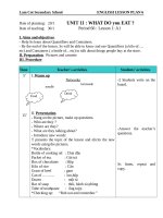 Giáo án Tiếng Anh 6 unit 11: What do you eat