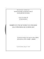 LUAN VAN   nghiên cứu ứng xử tường vây tầng hầm gia cường bằng cọc xi măng đất, võ thành hoan