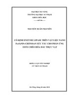 Cố định enzyme lipase trên vật liệu nano Fe3O4NPs chitosan xúc tác cho phản ứng este chéo hóa dầu thực vật