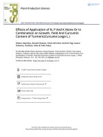Effects of application of n p and k alone or in combination on growth yield and curcumin content of turmeric curcuma longa l