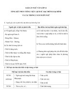 Giáo án Ngữ văn 12 tuần 33 bài: Tổng kết phần tiếng việt: Lịch sử, đặc điểm loại hình và các phong cách ngôn ngữ