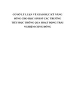 CƠ sở lý LUẬN về GIÁO dục kỹ NĂNG SỐNG  CHO học SINH ở các TRƯỜNG TIỂU học THÔNG QUA HOẠT ĐỘNG TRẢI NGHIỆM CỘNG ĐỒNG 