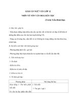 Giáo án Ngữ văn 12 tuần 30 bài: Nhìn về vốn văn hóa dân tộc  Trần Đình Hượu