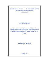 Nghiên cứu nhân giống cây rau báng (ficus callosa willd) bằng kỹ thuật nuôi cấy in vitro 
