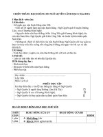 Giáo án Lịch sử 4 bài 5: Chiến thắng Bạch Đằng