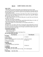 Giáo án Lịch sử 4 bài 16: Chiến thắng Chi Lăng