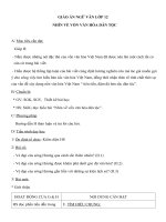 Giáo án Ngữ văn 12 tuần 30 bài: Nhìn về vốn văn hóa dân tộc  Trần Đình Hượu