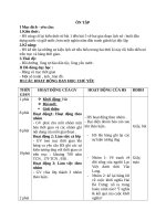 Giáo án Lịch sử 4 bài 6: Ôn tập