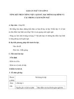 Giáo án Ngữ văn 12 tuần 33 bài: Tổng kết phần tiếng việt: Lịch sử, đặc điểm loại hình và các phong cách ngôn ngữ