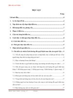 CÁC NHÂN TỐ ẢNH HƯỞNG ĐẾN TIÊU DÙNG HÀNG VIỆT CỦA NGƯỜI VIỆT