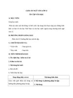 Giáo án Ngữ văn 12 tuần 34 bài: Ôn tập phần văn học