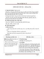 Giáo án Ngữ văn 12 tuần 12: Đọc thêm: Tiếng hát con tàu