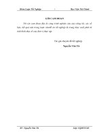 Thực trạng và giải pháp tăng cường quản lý rủi ro tín dụng tại ngân hàng thương mại cổ phần sài gòn – hà nội chi nhánh nghệ an 