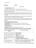 Giáo án Ngữ văn 12 tuần 12: Đọc thêm: Đò Lèn