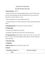 Giáo án Ngữ văn 12 tuần 34 bài: Ôn tập phần văn học