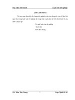 Tổ chức công tác kế toán bán hàng và xác định kết quả kinh doanh tại nhà máy BIBICA  chi nhánh công ty cổ phần BIBICA 