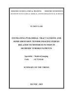 Đánh giá tổn thương bó tháp và một số chỉ số của cộng hưởng từ khuếch tán liên quan với chức năng vận động của bệnh nhân nhồi máu não tt tiếng anh 
