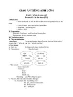 Giáo án Tiếng Anh 6 unit 11: What do you eat