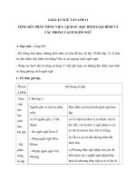 Giáo án Ngữ văn 12 tuần 33 bài: Tổng kết phần tiếng việt: Lịch sử, đặc điểm loại hình và các phong cách ngôn ngữ