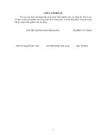 Nghiên cứu tính gia công vật liệu thép SKD11 trong môi trường gia nhiệt bằng cảm ứng điện từ và định hướng ứng dụng trong công nghiệp (Luận án tiến sĩ)