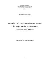 Nghiên cứu nhân giống in vitro cây mật nhân (Eurycoma longifolia Jack).