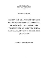Nghiên cứu khả năng sử dụng cỏ vetiver (Vetiveria zizanioides L.) để kiểm soát chất lượng môi trường nước ao nuôi tôm tại xã Tam Giang, huyện Núi Thành, tỉnh Quảng Nam.