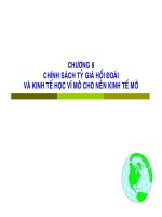 CHƯƠNG 8: CHÍNH SÁCH TỶ GIÁ HỐI ĐOÁI VÀ KINH TẾ HỌC VĨ MÔ CHO NỀN KINH TẾ MỞ