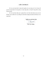 Nghiên cứu bộ nghịch lưu tăng cáp ba pha ghép tầng đa bậc 