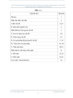 SKKN Một số biên pháp giúp trẻ 5 6 tuổi học tốt môn làm quen với toán theo hướng giáo dục lấy trẻ làm trung tâm tại lớp lá 1 trường Mầm Non Hoa Sen