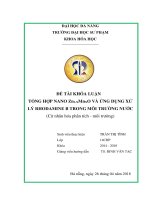 Tổng hợp nano Zn1-xMnxO và ứng dụng xử lý Rhodamine B trong môi trường nước