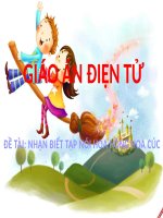 GIÁO ÁN ĐIỆN TỬ KHAM PHÁ CAC LOAI HOA  TRẺ MẦM NON