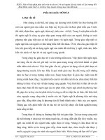 SKKN Một số biện pháp phát triển vốn từ cho trẻ 56 tuổi người dân tộc thiểu số.Tại trường MN Bình Minh, buôn Tuôr A, xã Dray Sáp, huyện Krông Ana, tỉnh Đăk Lăk