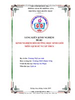 SKKN Kinh nghiệm bồi dưỡng học sinh giỏi môn Lịch sử 9 cấp trung học cơ sở