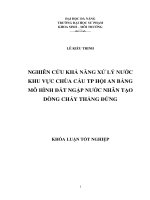 Nghiên cứu khả năng xử lý nước khu vực chùa Cầu TP Hội An bằng mô hình đất ngập nước nhân tạo dòng chảy thẳng đứng.