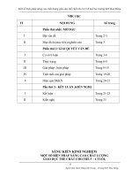 SKKN Một số biện pháp nâng cao chất lượng giáo dục thể chất cho trẻ 5 6 tuổi tại trường MN Hoa Hồng