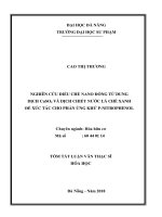 Nghiên cứu điều chế nano đồng từ dung dịch CuSO4 và dịch chiết nước lá chè xanh để xúc tác cho phản ứng khử p-nitrophenol