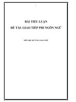 TIỂU LUẬN GIAO TIẾP PHI NGÔN NGỮ 
